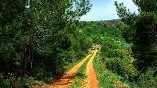 Hiking from Aitou to Hamatoura, North Lebanon, ProMax