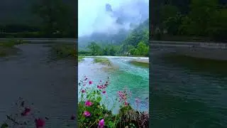 nice place views | amazing place | #shorts #nature #flowers #cinematic #flute #waterdropphotography