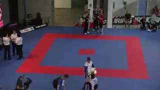 Bestfighter 2017 Finals