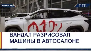 Вандал разрисовал машины в автосалоне