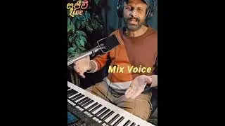 Our singing voice...1. Chest voice 2. Mix voice 3. Head voice....2026 91 27