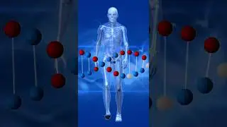 Fact: 🧬Unraveling the Astonishing Length of Human DNA!🧬 #shorts #humanfacts #facts