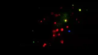 UMMS scientists develop CRISPRainbow system