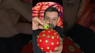 Porque algumas pessoas s&atilde;o imunes ao HIV?