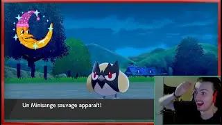 Minisange shiny sur Sword and Shield / Shiny Rookidee on Pok&eacute;mon Sword and Shield !