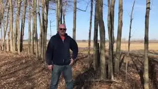 5/16&rdquo; tubing for maple sap collection - Gravity Flow