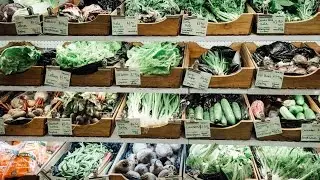 Sustainable Local | Dunedin Food Stories
