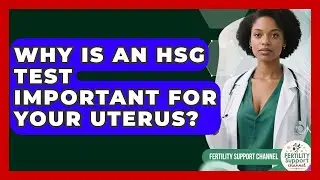 Why Is An HSG Test Important For Your Uterus? - Fertility Support Channel