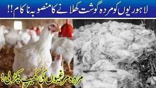 Horrible!! Dead Chicken Sale in Lahore