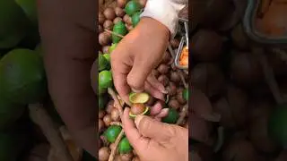 Cutting Macadamia Nuts at Home #shorts #satisfying #dryfruits ...