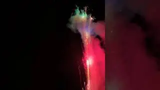 FUNNY CAT GIRANDOLA 🐱💥 #summer #fireworks #2024 #summerfireworks #pyrotechnics