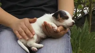 flexi - Promising a good life