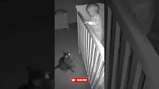 Baby & Cat Secret Midnight Chat! #catlabstudios