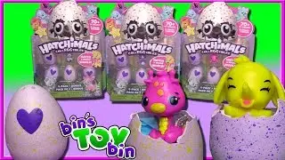 Открытие наборов из 4 Hatchimals CollEGGtibles! | Новые РЕДКИЕ сюрпризы-игрушки-яйца | Bin's Toy Bin