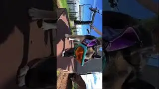 Summer ski area activities #summer #ski #slowmo #dog #viral #shorts