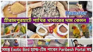 Serampore pet market Bird Hamster Bird Food price update 💥। Hand-tem Exotic Bird Market ।#serampore