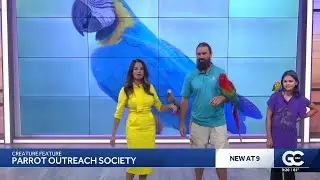 Creature Feature July 15: Parrot Outreach Society