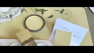 C2 PAINT 2026 COLOR OF THE YEAR