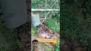 Creating sounds to scare away animals that damage crops. Very unique. #farming #useful #shorts #new