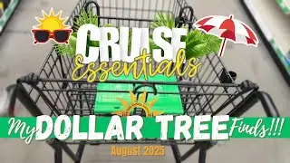 Cruise Essentials: My Dollar Tree Finds - August 2025