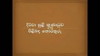 දිට්වා සුළි කුනාටුව පිළිබඳ  #තරග විභාග# කාලීන තොරතුරු # Genaral knowledge  