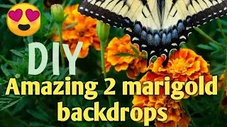 Marigold backdrop।।how to make marigold backdrop at home easily।।flower decoration।।home decoration।