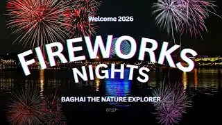 Fireworks Nights 🌙✨ | Welcome 2026 | Magical Night Views 🎆