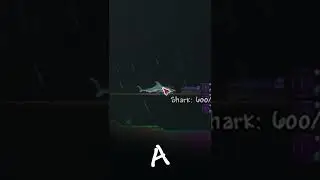 The Shark Took Flight