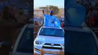 dgp