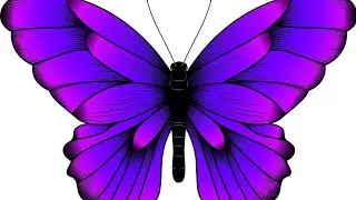 BUTTERFLY- JOES FLOS #rap #eminem #family #daughter #love #dad #love
