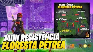 MINI RESIST&Ecirc;NCIA DE FLORESTA P&Eacute;TREA ( D: SUDESTE )