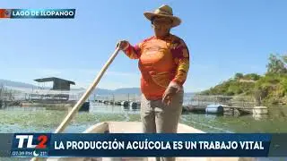 PRODUCCIÓN DE VIVEROS DE PESCADOS | Teledos | El Salvador