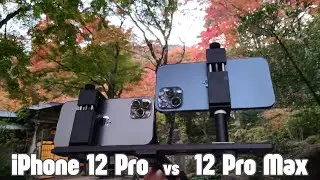 Тест камеры iPhone 12 Pro и iPhone 12 Pro Max