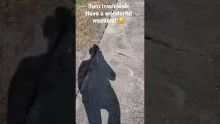 Solo trash walk come along have a wonderful weekend 😁 any big plans? #vlog #cleanwithme #shortvideo