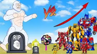 Never Seen!!! King Kong Vs Transformer Animation - King Kong Was Angry | HLE Robot Cartoon