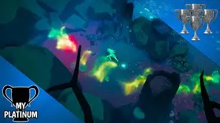 Masters of Anima - The Forest of Netherwatch - All Collectibles
