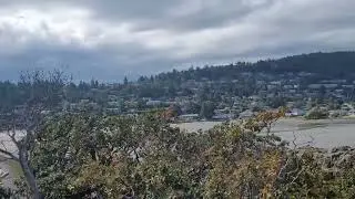Nanaimo beach