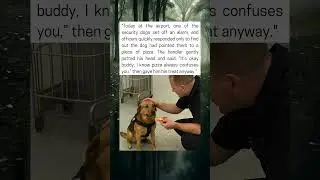 Sniffing Dog Sounds Alarm Over a Slice of Pizza