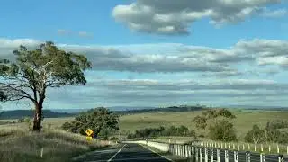 Dubbo trip