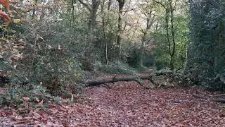 2020.11.12 #2 18km walk into Coventry and back, UK