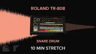 Roland TR-808 Snare Drum (10 MINUTES)