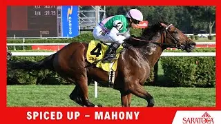 Spiced Up - 2025 - Mahony
