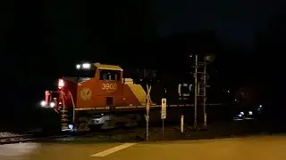 CNR Train Spotting HD: CN 3908 West, G815 crawls through Hampton BC. 2/12 2024/9/8
