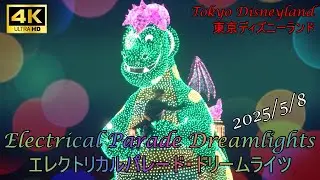 【TDL】~エレクトリカルパレード・ドリームライツ~　東京ディズニーランド   ~Electrical Parade Dreamlights~  Tokyo Disneyland