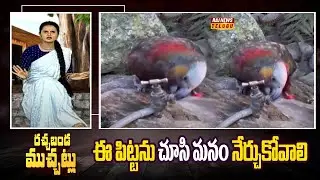 ఈ పిట్టను చూసి మనం నేర్చుకోవాలి | Thirsty birds drinking from a tap | Bird Saving Water | Raj News