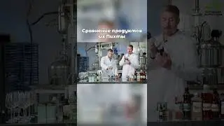 Как получают густой экстракт пихты?