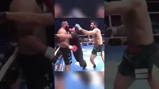 Best UFC🥊🥊&mdash;Let's pick the most thrilling one! #ufc #mma #boxing #ufcboxing #funny