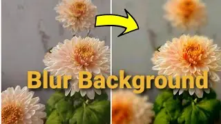 Blur Image Background | How to Blur Background in Photo - Blur Background of Any Picture | Blur BG