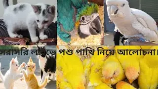 আসসালামু আলাইকুম সরাসরি পশুপাখি নিয়ে কিছু আলোচনা।