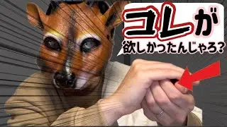 願いを聞き取れない神様「お金編」【コント】